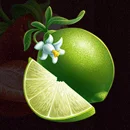 Tiki Time Exotic Wilds Paytable Symbol 6