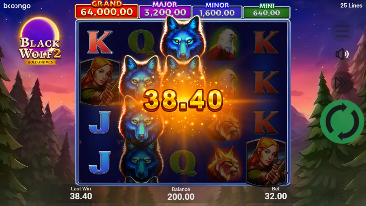 Black Wolf 2 Small Win