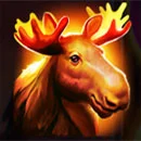 Black Wolf 2 Symbol Moose