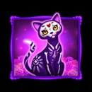 Bones Fortune Paytable Symbol 7