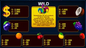 Mega Joker Paytable