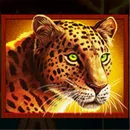 African Spirit Sticky Wilds Paytable Symbol 11
