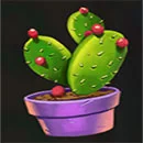 Crazy Chilli Symbol Cactus