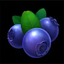 Fiery Slots Cash Mesh Ultra Symbol Berry