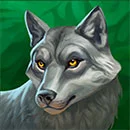 Fire Temple Hold and Win Symbol Wolf