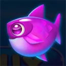 Lucky Otter Symbol Shark