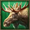 Roar of the Bear Megaways Symbol Moose