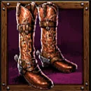 The Wild Gang Symbol Boots