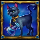Book of Wisdom Symbol Cat