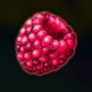 Fruit Splash Paytable Symbol 13