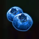 Fruit Splash Paytable Symbol 6