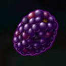 Fruit Splash Paytable Symbol 9