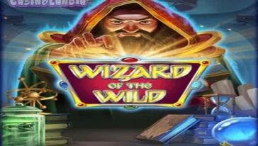 Wizard of the Wild by Platipus