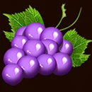 Fruityliner Joker Paytable Symbol 4