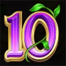 Good Luck & Good Fortune Symbol 10