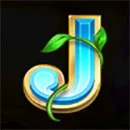 Good Luck & Good Fortune Symbol J