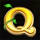 Good Luck & Good Fortune Symbol Q