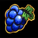 2024 Hit Slot Symbol Grape