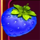 Mr. First Lucky Wheel Symbol Blueberry