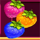 Mr. First Lucky Wheel Symbol MixBerry