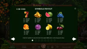 Book of Jam Paytable