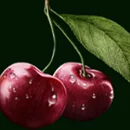 Book of Jam Paytable SYmbol 1