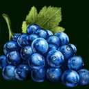 Book of Jam Paytable SYmbol 5