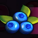Fruit Blitz Paytable SYmbol 4