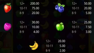 Jam Bonanza Hold & Win Paytable