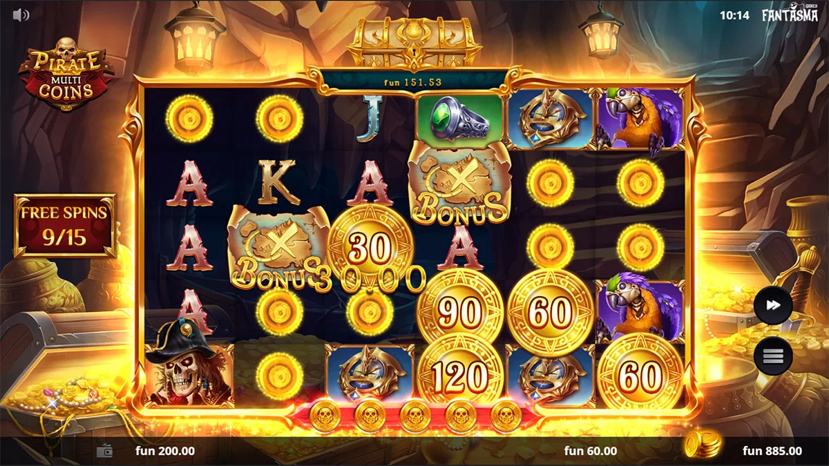Pirate Multi Coins Coins