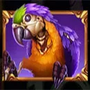 Pirate Multi Coins Parrot
