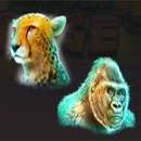 Raging Rhino Rampage Cheetah