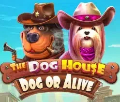 The Dog House – Dog or Alive Thumbnail