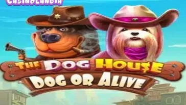The Dog House – Dog or Alive by Pragmatic Play