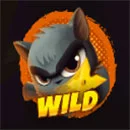 Wild Dojo Strike Orange