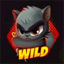 Wild Dojo Strike Red