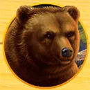 Wild Flow Bear