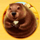 Wild Flow Beaver