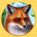 Wild Flow Fox