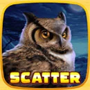 Wild Flow Owl