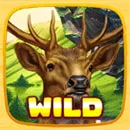 Wild Flow Wild