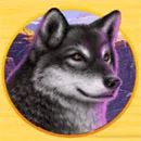 Wild Flow Wolf