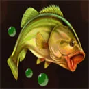 Wild Survivor Fish