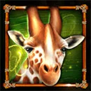 Book of Savannah’s Queen Giraffe