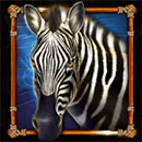 Book of Savannah’s Queen Zebra