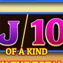 Double Fortune Paytable Symbol 12