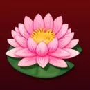 Eastern Wonder Paytable Symbol 8
