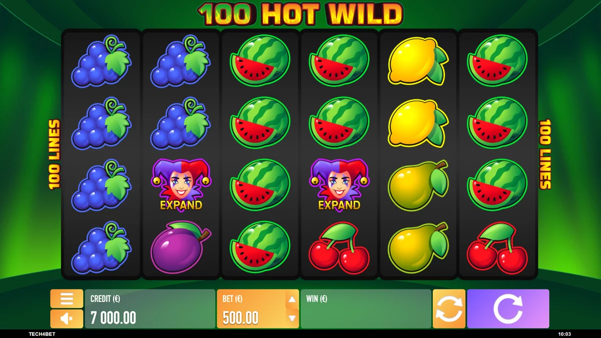 Hot Wild 100 Base Play