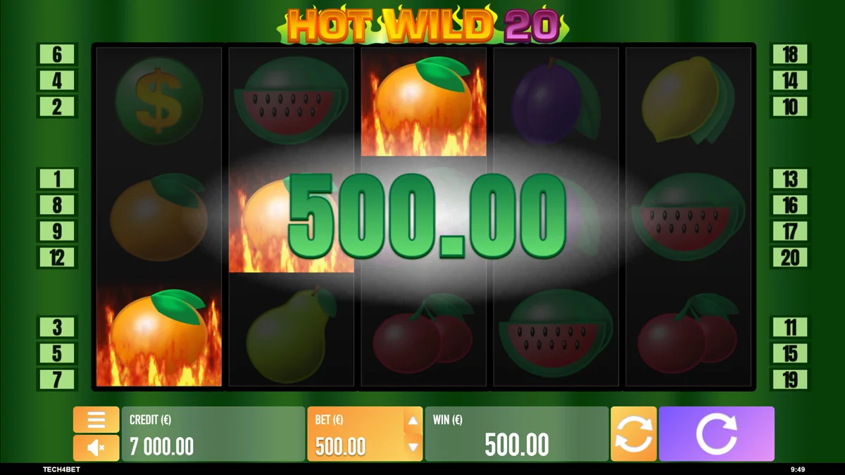 Hot Wild 20 Win