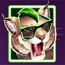 King of the Party Lynx